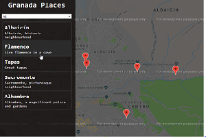 Project screenshot